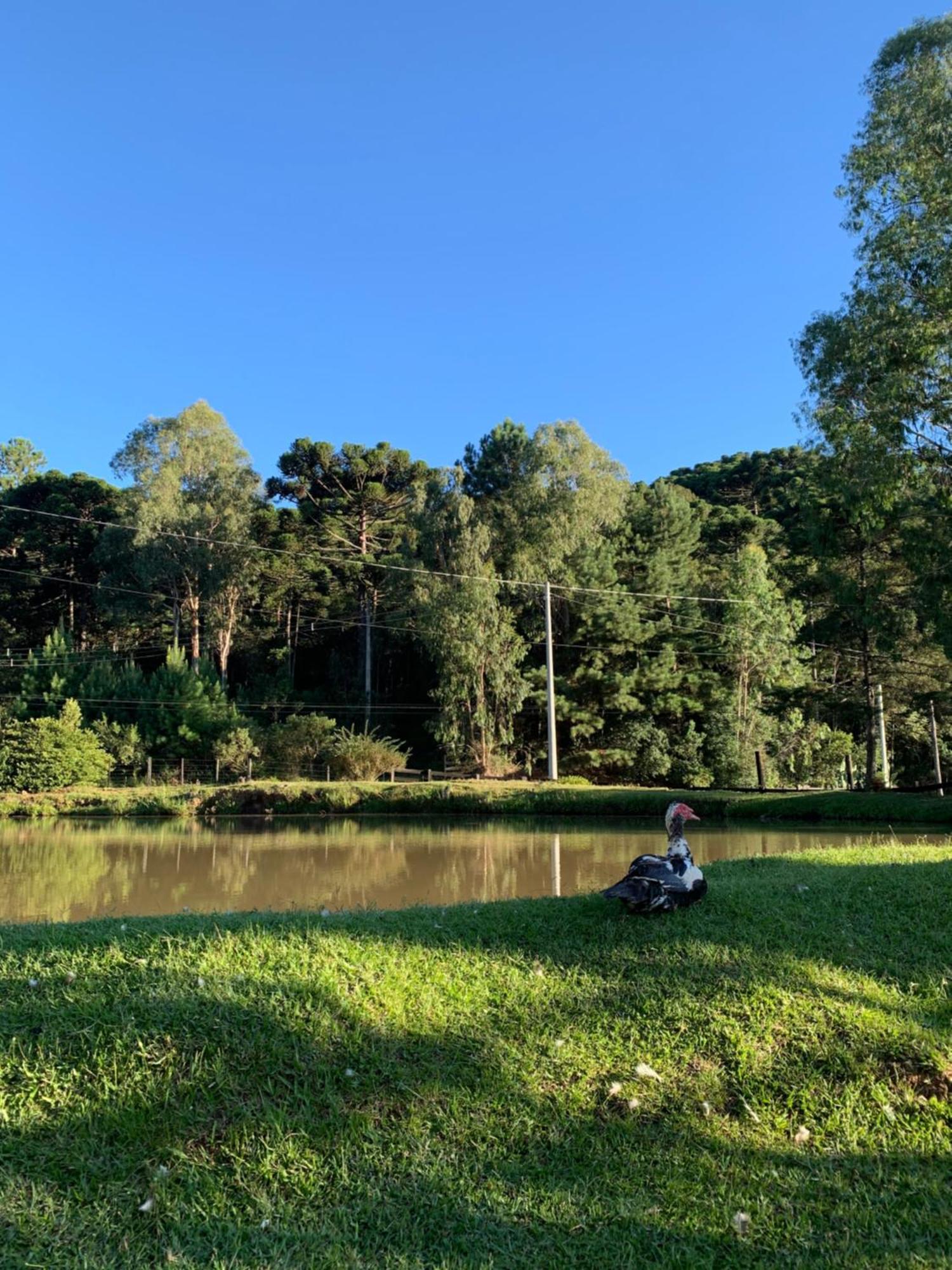 Villa Leão De Judá Canela Esterno foto